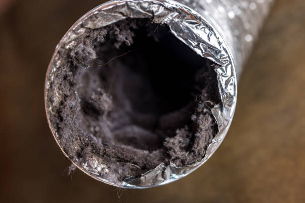 Best Emergency Air Duct Cleaning  in Edina, MO