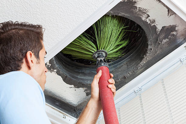 Best Affordable HVAC Duct Cleaning  in Edina, MO